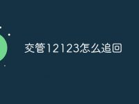 交管12123怎么追回-路由网