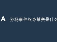 孙杨事件终身禁赛是什么原因-路由网