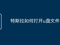 特斯拉如何打开u盘文件-路由网