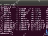 Linux使用kill命令的注意事项介绍-路由网