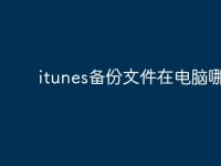 itunes备份文件在电脑哪里?-路由网