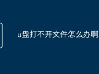 u盘打不开文件怎么办啊-路由网