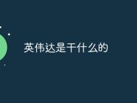 英伟达是干什么的-路由网