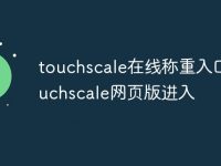 touchscale在线称重入口 touchscale网页版进入-路由网
