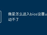 微星怎么进入bios设置u盘启动不了-路由网
