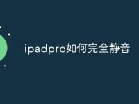 ipadpro如何完全静音-路由网