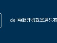 dell电脑开机就黑屏只有鼠标-路由网