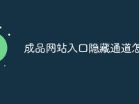 成品网站入口隐藏通道怎么找-路由网