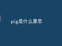 pig是什么意思-路由网