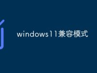 windows11兼容模式-路由网