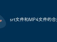 srt文件和MP4文件的合并-路由网