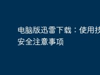 电脑版迅雷下载：使用技巧及安全注意事项-路由网