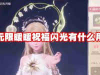 无限暖暖祝福闪光有什么用-路由网