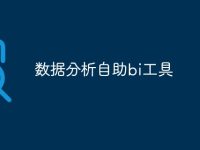 数据分析自助bi工具-路由网