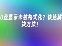U盘显示未被格式化?快速解决方法!-路由网