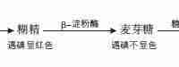 α-淀粉酶、β-淀粉酶、糖化淀粉酶的区别-路由网