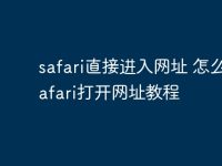 safari直接进入网址 怎么在safari打开网址教程-路由网