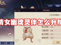 倩女幽魂灵伴怎么升阶-路由网