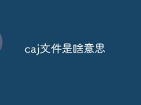 caj文件是啥意思-路由网