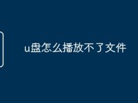 u盘怎么播放不了文件-路由网