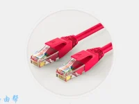 电脑主机的网线应该插入背面的网络接口，通常标记为LAN。-路由网