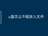 u盘怎么不能放入文件-路由网