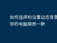 如何选择和设置动态背景,让你的电脑焕然一新-路由网