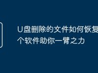 U盘删除的文件如何恢复?8个软件助你一臂之力-路由网