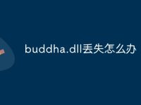 buddha.dll丢失怎么办-路由网