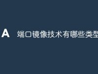 端口镜像技术有哪些类型-路由网