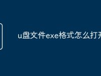 u盘文件exe格式怎么打开-路由网
