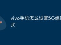 vivo手机怎么设置5G组网模式-路由网