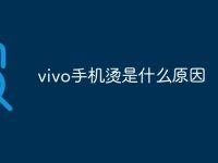vivo手机烫是什么原因-路由网
