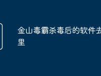 金山毒霸杀毒后的软件去了哪里-路由网