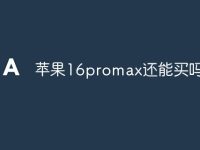 苹果16promax还能买吗-路由网