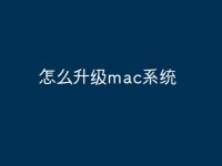 怎么升级mac系统-路由网