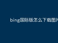bing国际版怎么下载图片-路由网