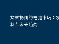 探索梧州的电脑市场:发展现状与未来趋势-路由网