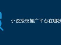 小说授权推广平台在哪找-路由网