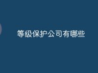等级保护公司有哪些-路由网