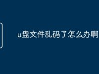 u盘文件乱码了怎么办啊-路由网