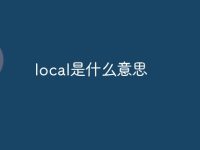 local是什么意思-路由网