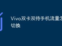 Vivo双卡双待手机流量怎么切換-路由网