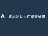成品网站入口隐藏通道-路由网