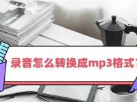 如何将音频文件转换为MP3格式?转换过程中常见问题有哪些?-路由网