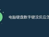 电脑键盘数字键没反应怎么办-路由网