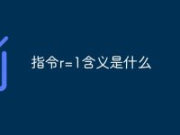 指令r=1含义是什么-路由网