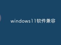 windows11软件兼容-路由网
