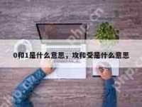 0和1代表什么含义-路由网