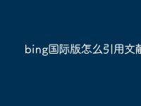bing国际版怎么引用文献-路由网